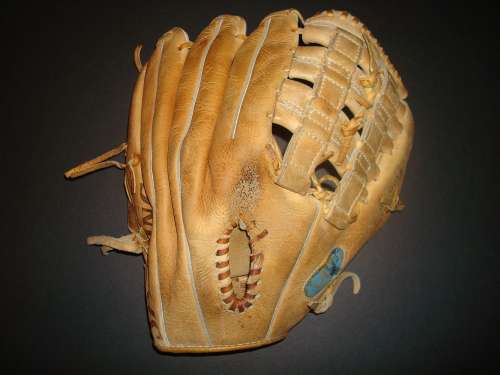 Carl Yastrzemski Spalding Back